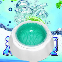 Summer Cooling Pet Bowls for Dogs