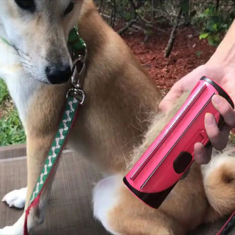 FurAway Buddy Hair Remover Brush