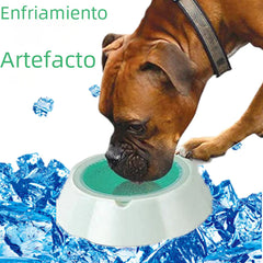 Summer Cooling Pet Bowls for Dogs